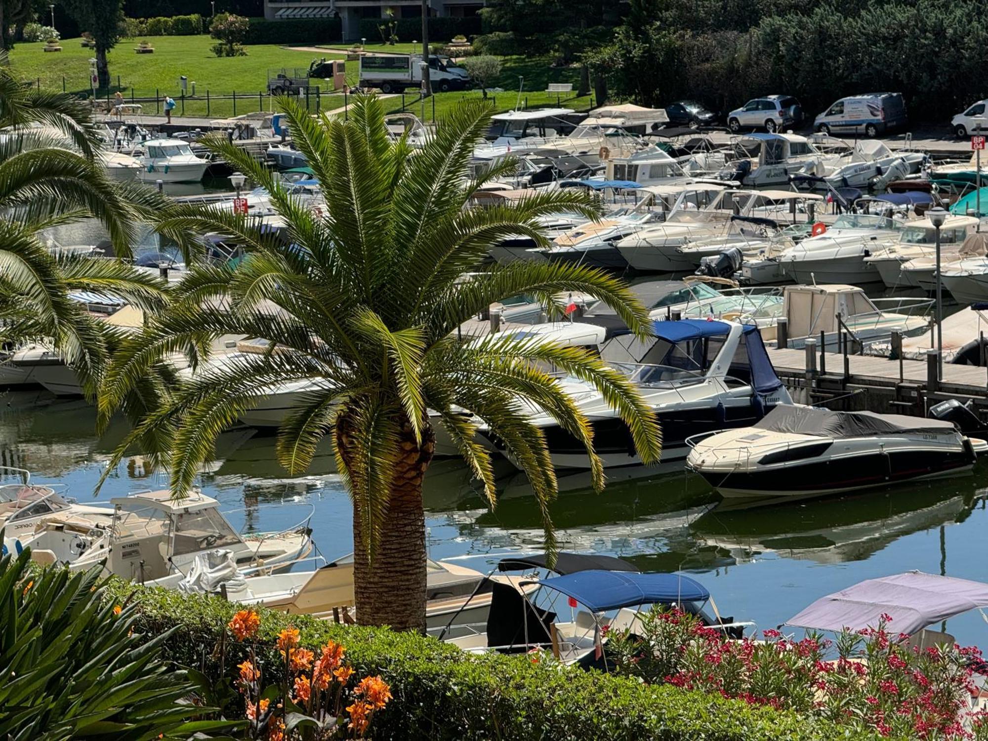 Apartment My Resid Cannes Marina Vue Piscine